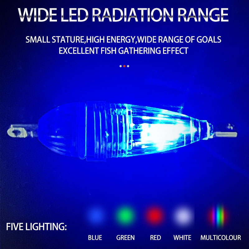 ShareShark 5個入り/袋 6cm LED点滅魚誘引 - Fish Alarm のレビューと価格